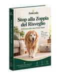 Stop alla Zoppia del Risveglio — Il Protocollo dei Primi Passi