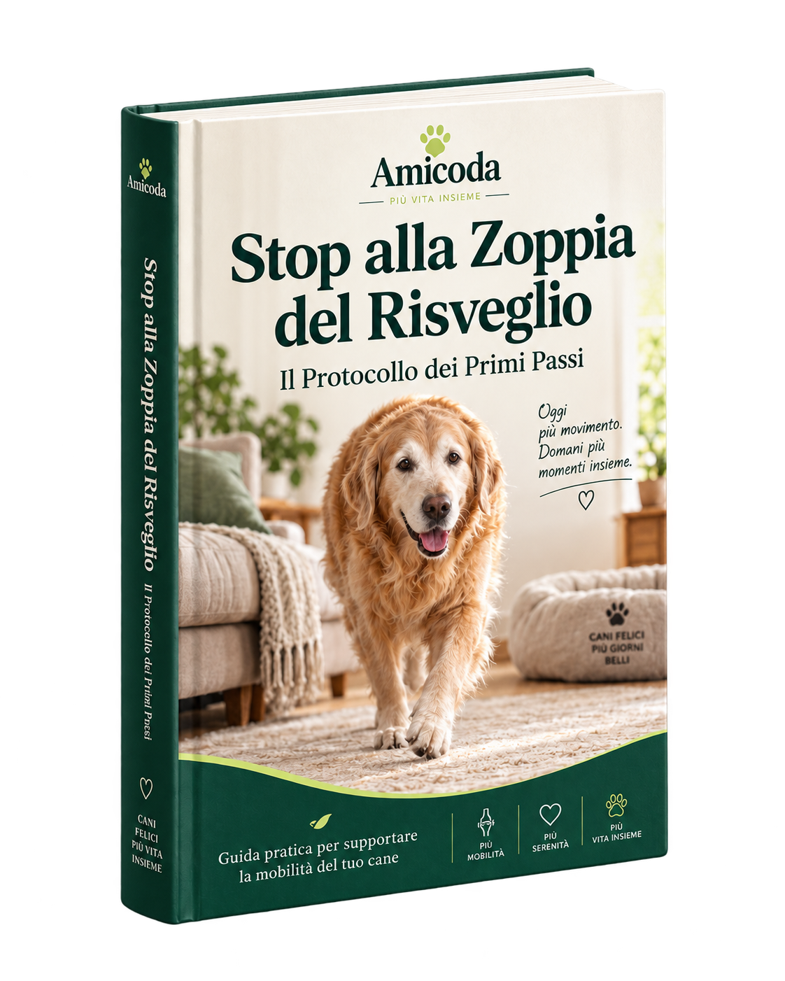 Stop alla Zoppia del Risveglio — Il Protocollo dei Primi Passi