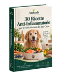 30 Ricette Anti-Infiammatorie per le Articolazioni del Tuo Cane