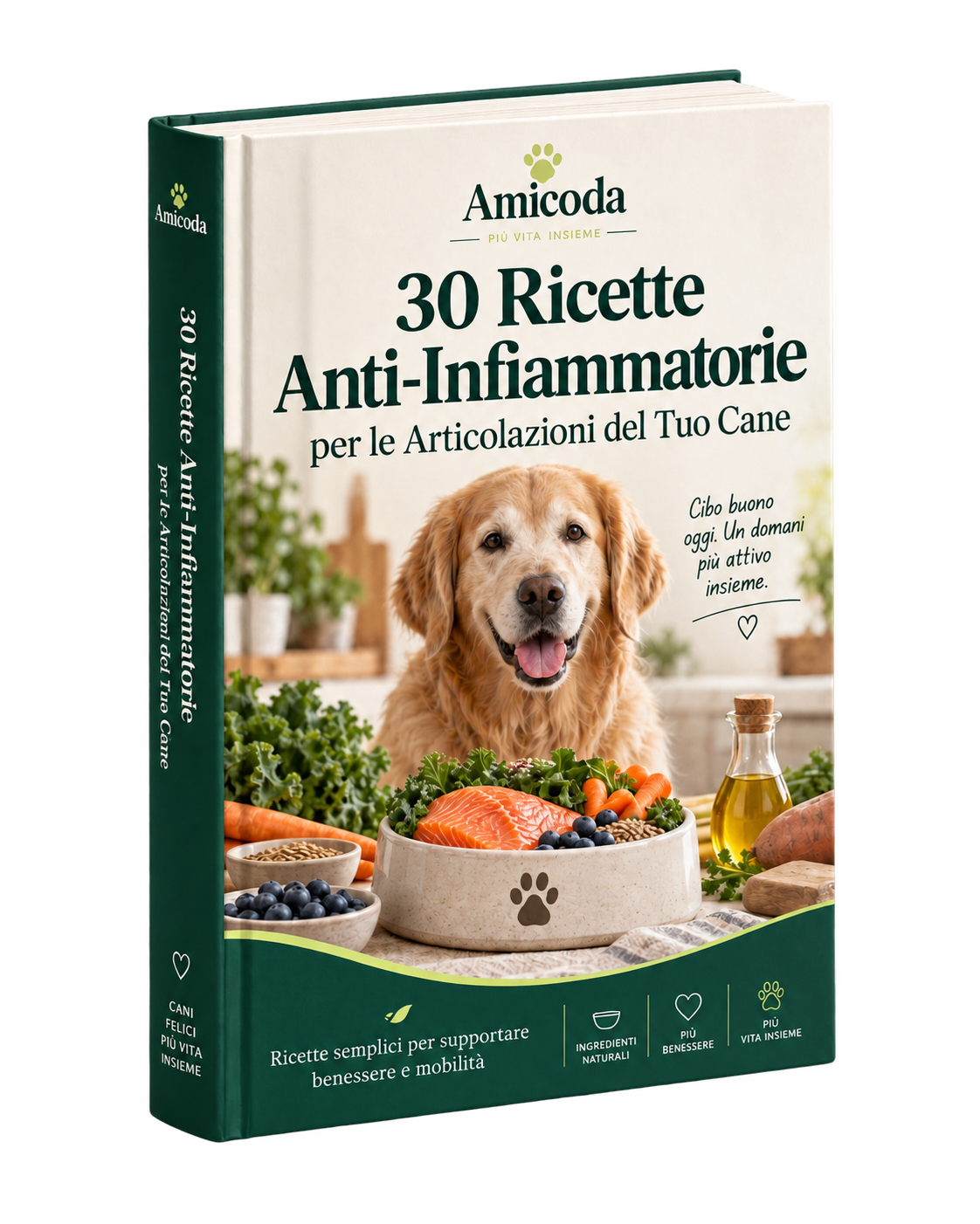 30 Ricette Anti-Infiammatorie per le Articolazioni del Tuo Cane