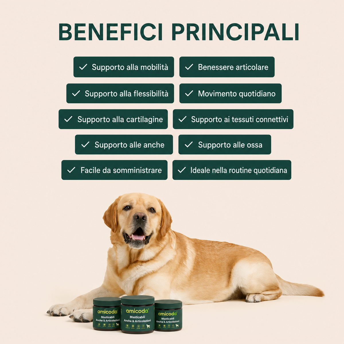 Amicoda - Benefici principali